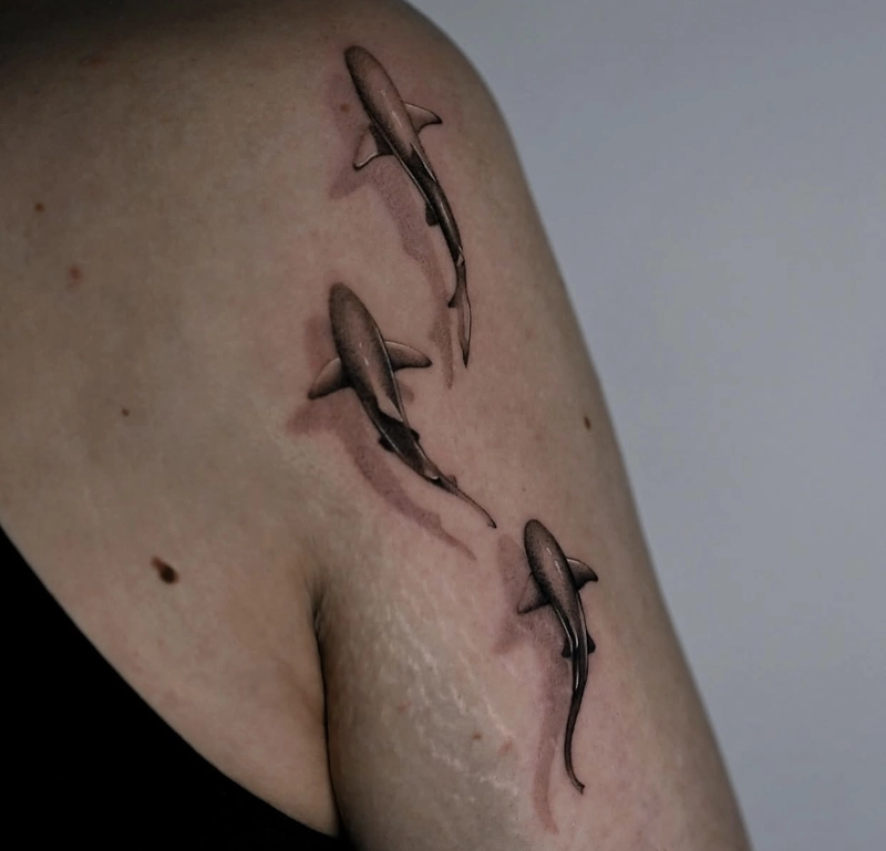 Hình tattoo cá mập tạo hiệu ứng chuyển động