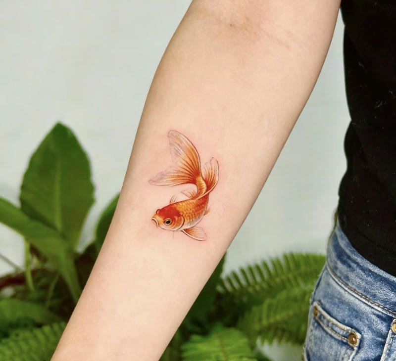 Hình xăm cá chép vàng ở cánh tay