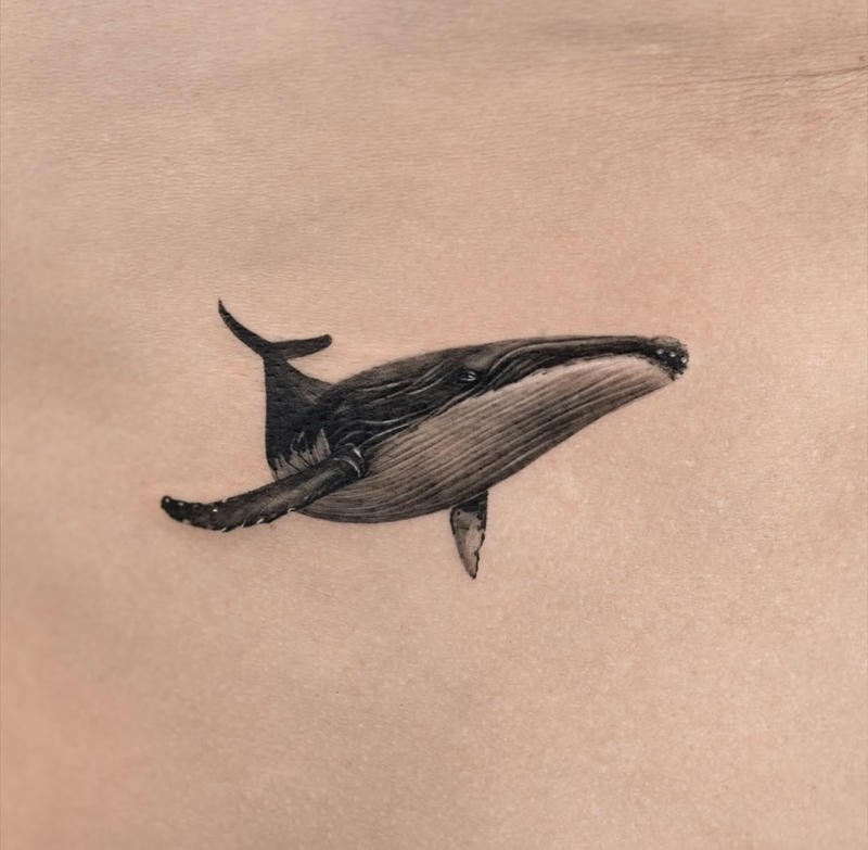 Hình xăm cá voi đơn giản mà đẹp
