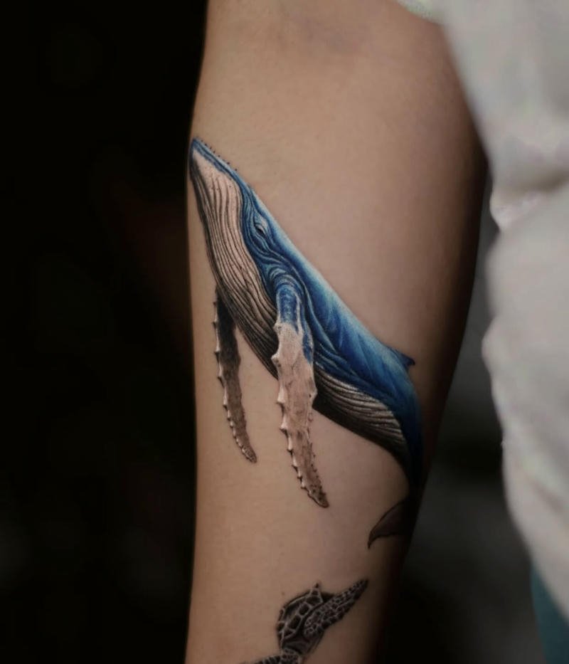 Hình xăm cá voi màu sắc xanh dương