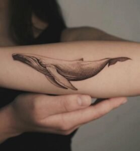 Hình xăm cá voi ở bắp tay cực đẹp