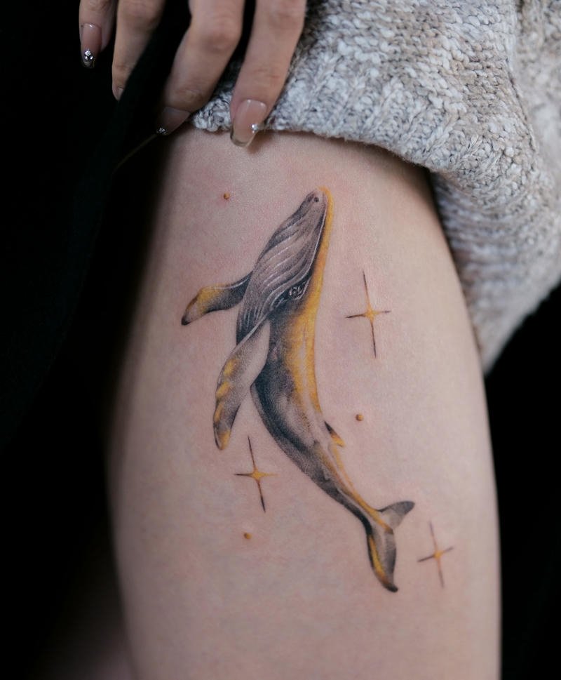 Mẫu hình xăm cá voi nhẹ nhàng nghệ thuật