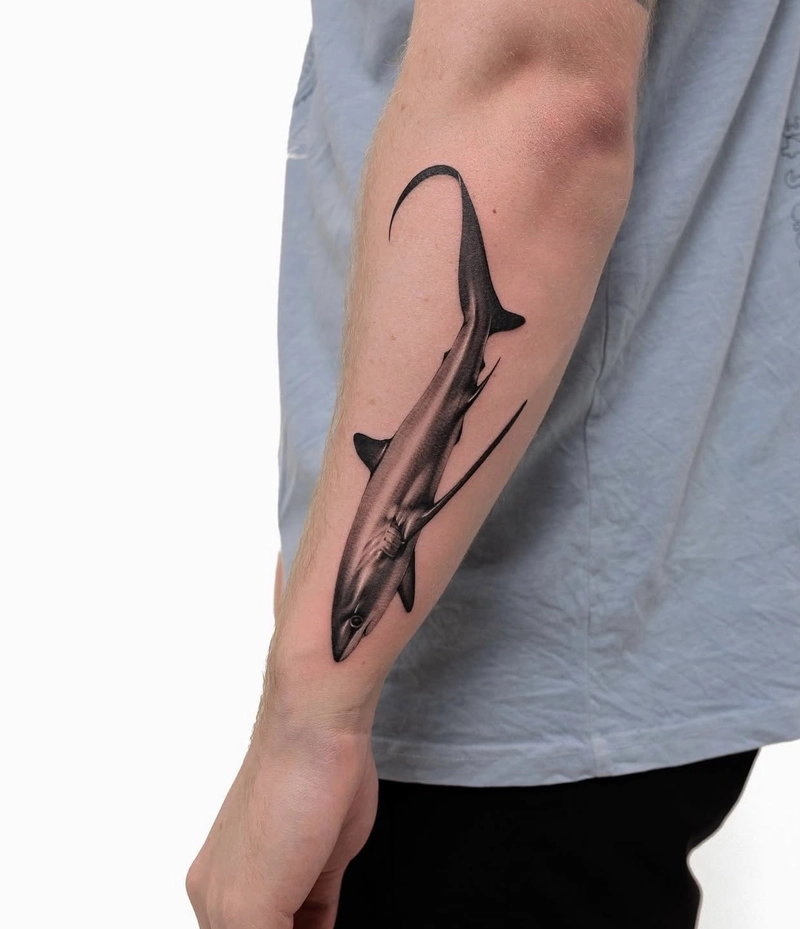 Tattoo cá mập cực đẹp cực nét ở tay