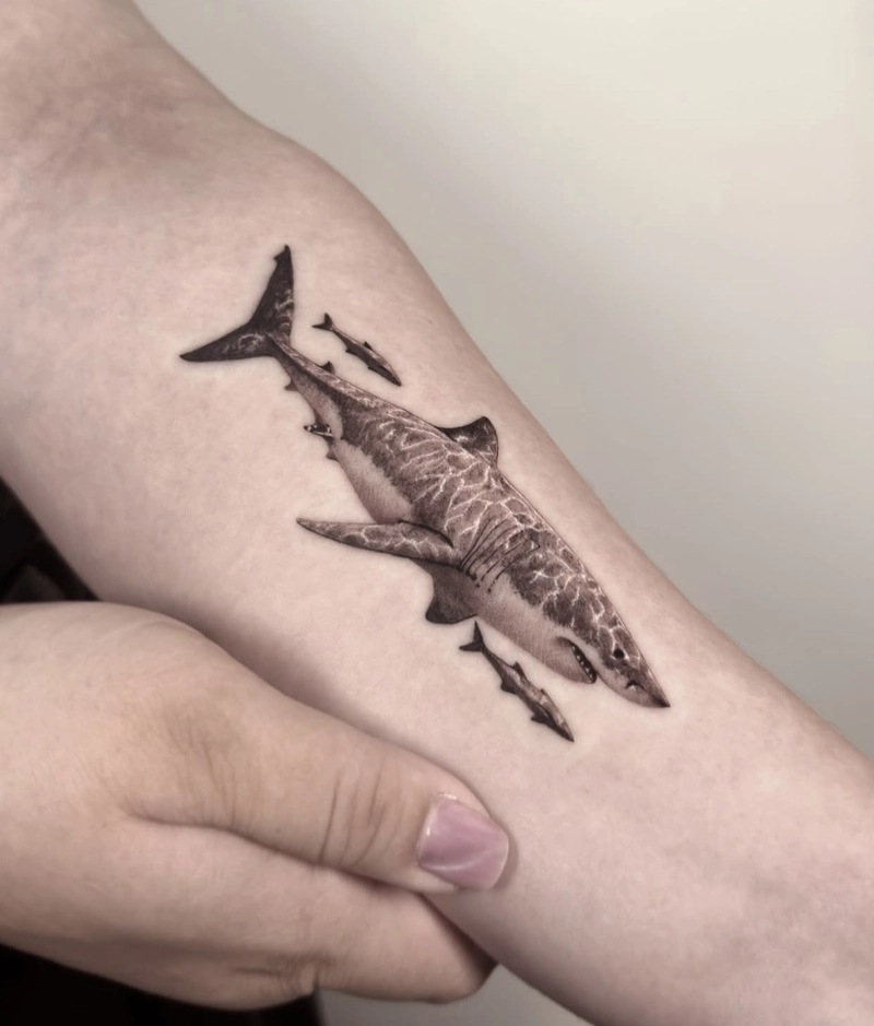 Tattoo cá mập với góc nhìn cận cảnh ấn tượng