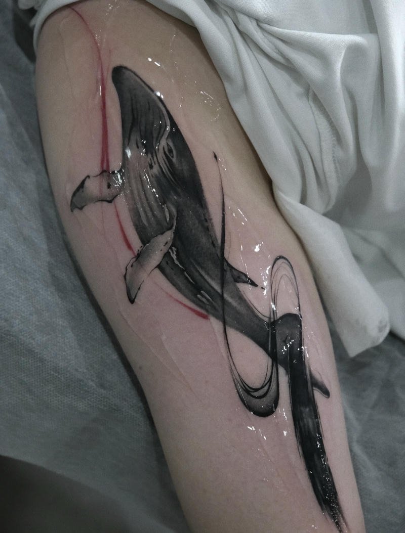 Xăm hình cá voi nét mảnh tinh tế nhẹ nhàng