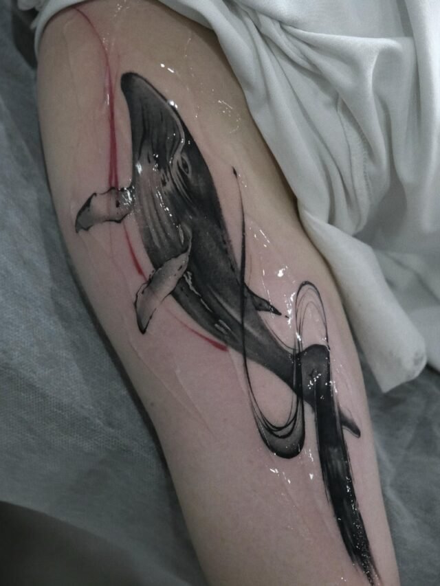 Xem 222+ hình xăm cá voi đẹp mang ý nghĩa mạnh mẽ và sâu sắc