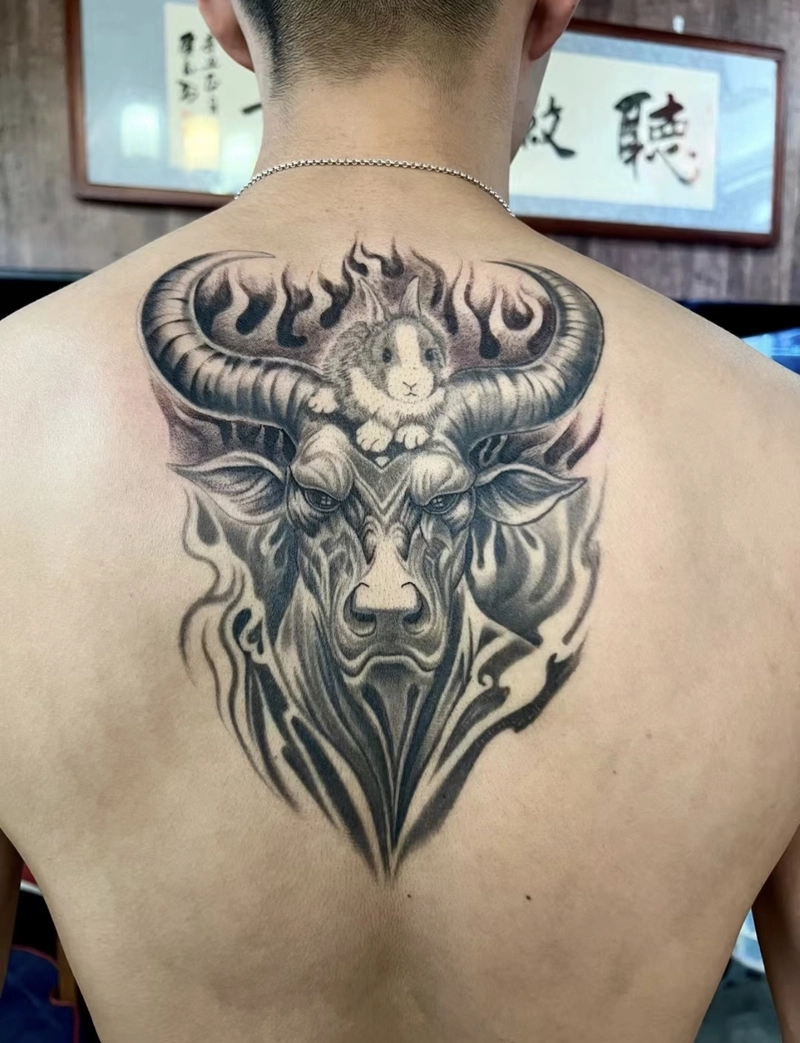 Ảnh hình xăm con trâu sau lưng