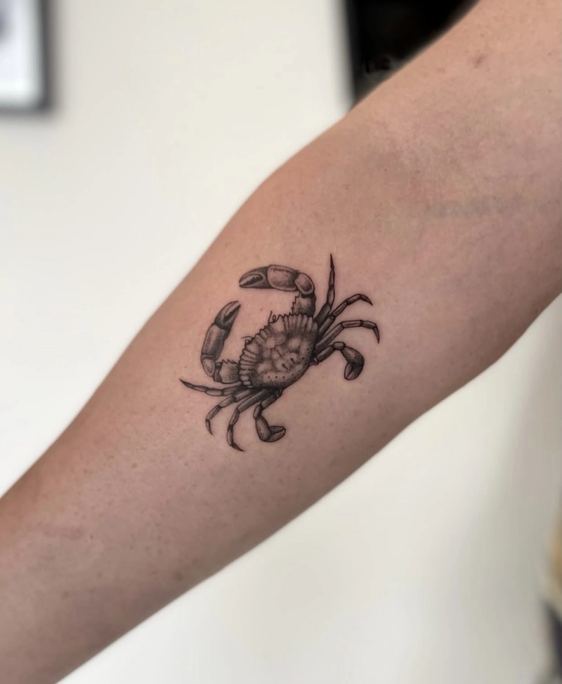 Hình tattoo con cua đơn giản mà đẹp