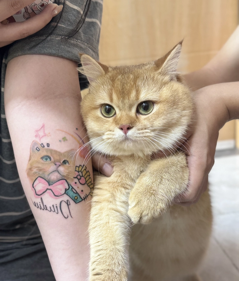 Mẫu hình xăm con mèo cực yêu cho nam và nữ