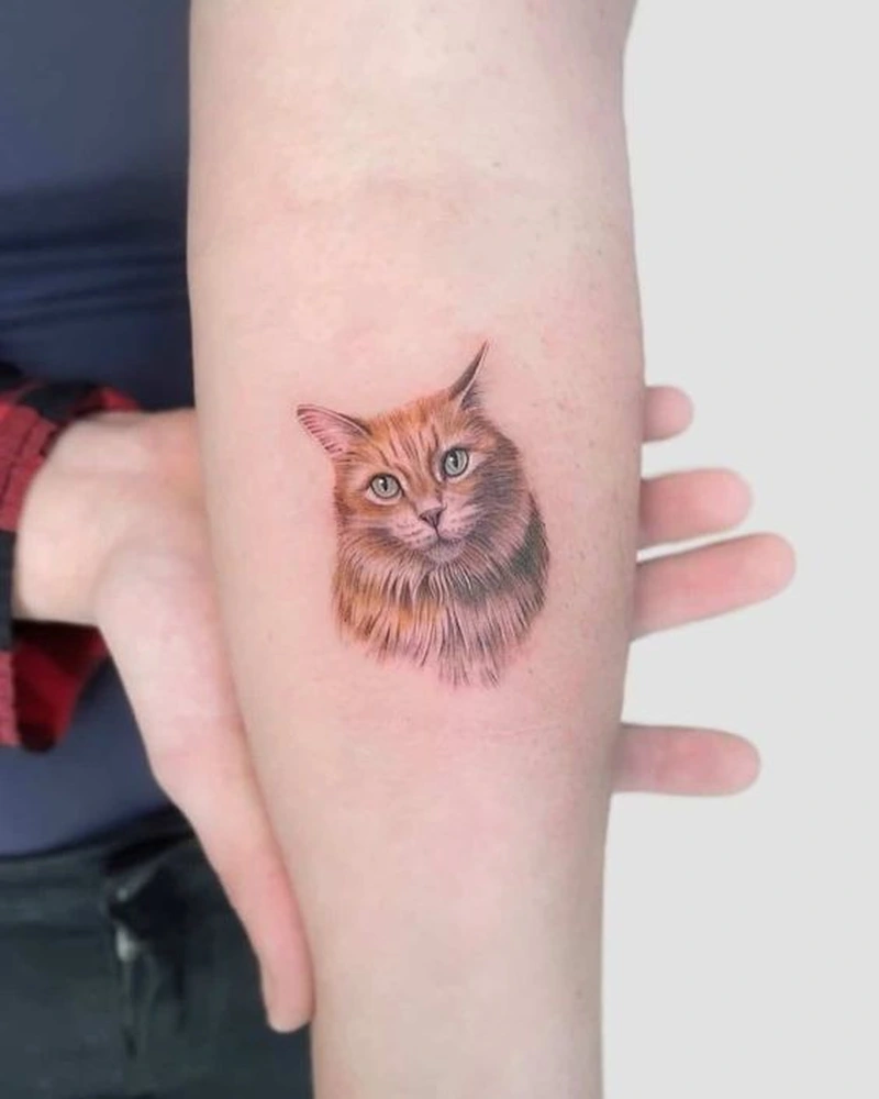 Concept tattoo mèo nhỏ hợp phong cách trẻ trung hiện đại