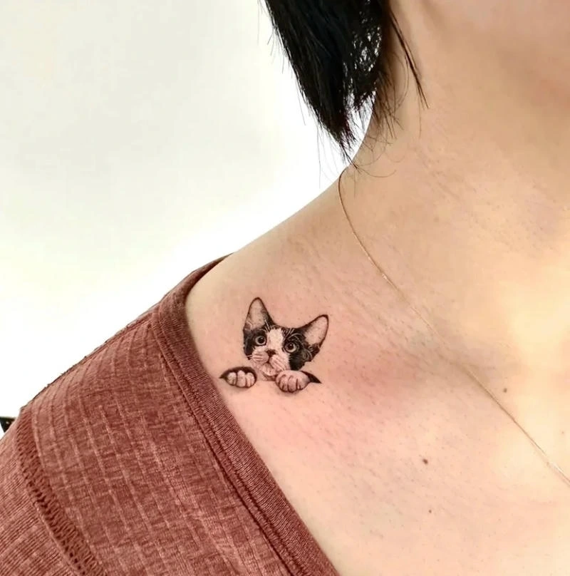 Hình ảnh tattoo mèo mini cute hợp tattoo mini nữ trẻ