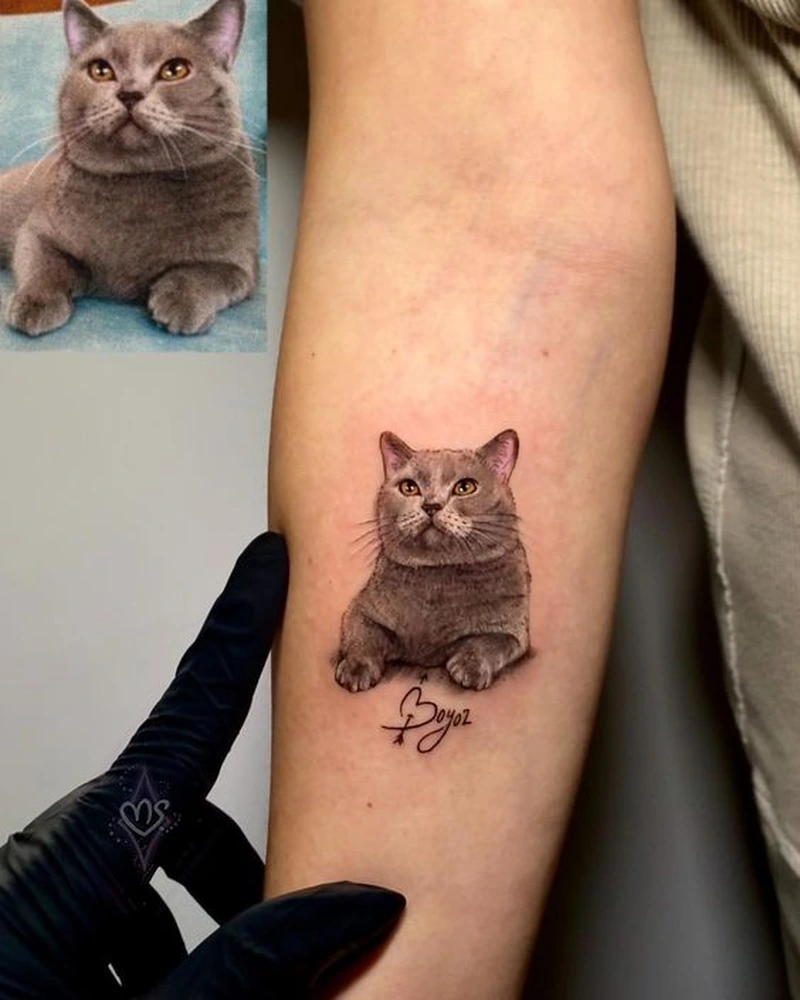 Mẫu tattoo mèo mini hợp phong cách nữ trẻ trung