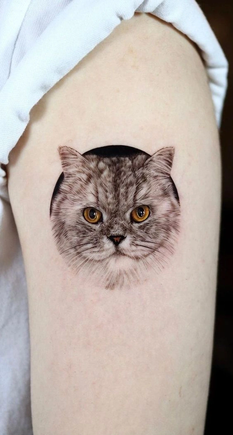 Tattoo mèo chibi đáng yêu hợp tattoo mini cổ tay