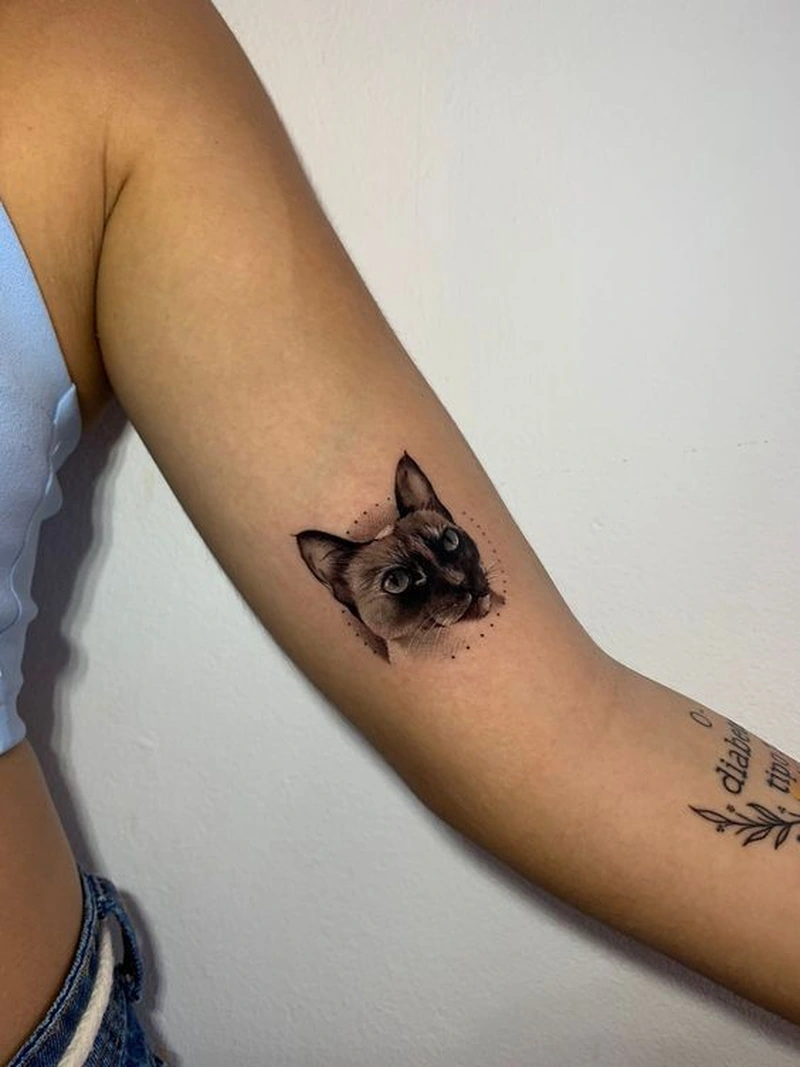 Tattoo mèo hoạt hình hợp phong cách cute hiện đại