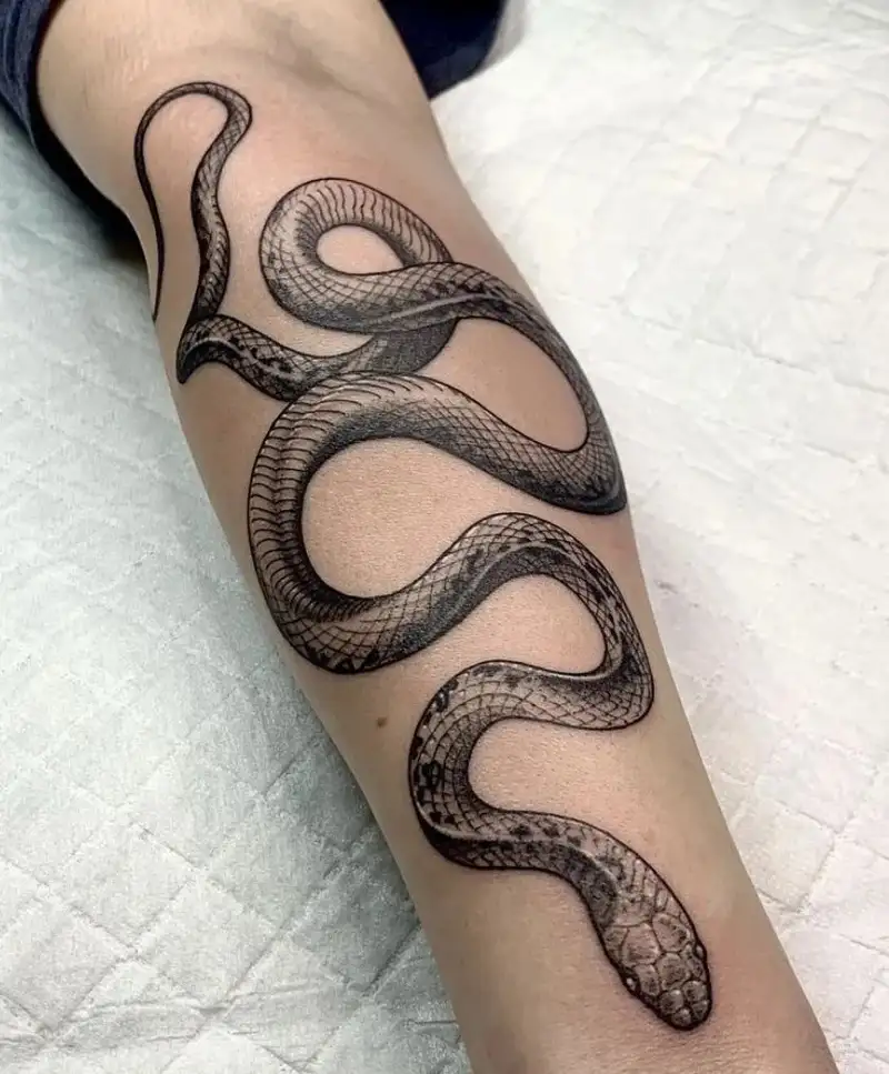 hình xăm rắn nhật cổ phong cách irezumi